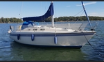 Sunwind 311-kuva-1